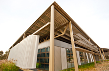 CSU Dentistry