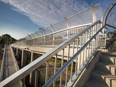 Stairs - Botany